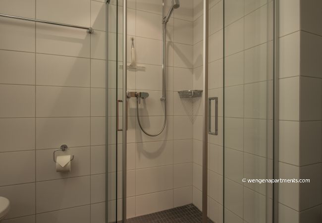 Ferienwohnung in Wengen - Chalet Am Acher 7 Ferienwohnung in Wengen - Chalet Am Acher 7