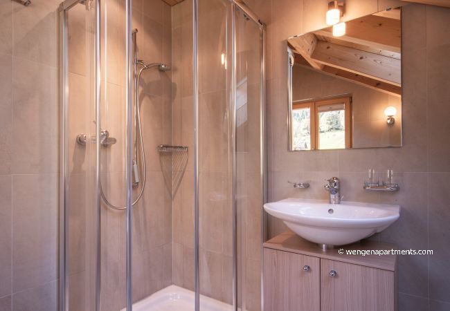 Ferienwohnung in Wengen - Chalet Aquila 8 Penthouse Ferienwohnung in Wengen - Chalet Aquila 8 Penthouse