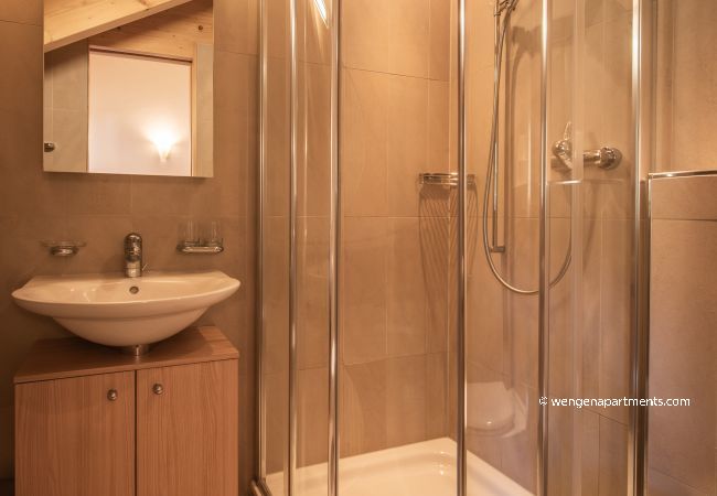 Ferienwohnung in Wengen - Chalet Aquila 8 Penthouse Ferienwohnung in Wengen - Chalet Aquila 8 Penthouse