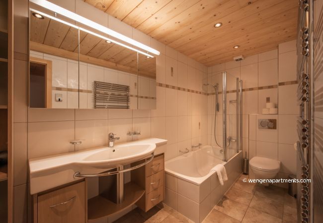 Ferienwohnung in Wengen - Chalet Aquila 8 Penthouse Ferienwohnung in Wengen - Chalet Aquila 8 Penthouse