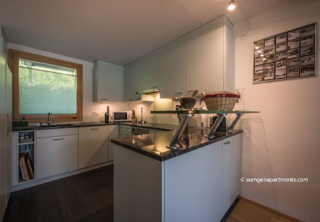 Ferienwohnung in Wengen - Chalet Wyssbirg Ferienwohnung in Wengen - Chalet Wyssbirg