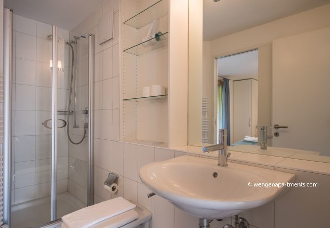 Ferienwohnung in Wengen - Chalet Wyssbirg Ferienwohnung in Wengen - Chalet Wyssbirg