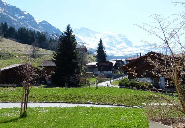 Ferienwohnung in Wengen - Chalet Brunner 2 Ferienwohnung in Wengen - Chalet Brunner 2