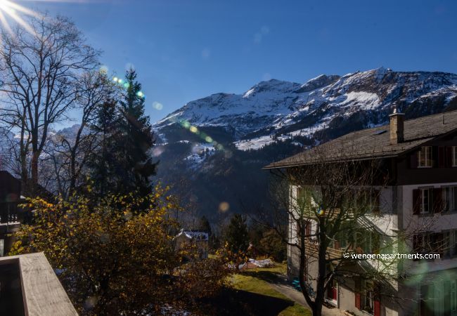 Ferienwohnung in Wengen - Chalet Schweizerhof Ferienwohnung in Wengen - Chalet Schweizerhof