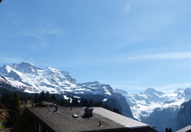 Ferienwohnung in Wengen - Chalet Bella Vista 6 Ferienwohnung in Wengen - Chalet Bella Vista 6