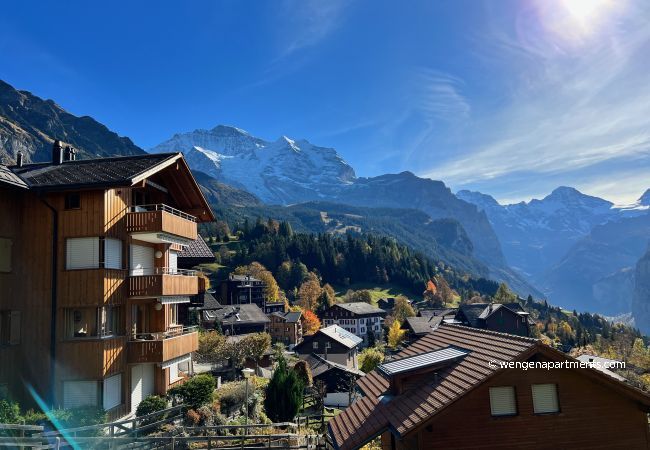 Ferienwohnung in Wengen - Chalet Sterndolde Penthouse Ferienwohnung in Wengen - Chalet Sterndolde Penthouse