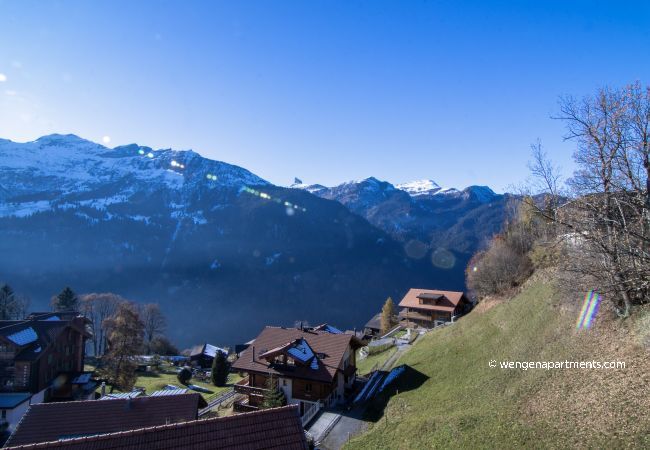 Ferienwohnung in Wengen - Chalet Sterndolde Penthouse Ferienwohnung in Wengen - Chalet Sterndolde Penthouse
