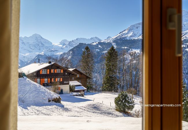 Ferienwohnung in Wengen - Chalet Bergrose 1 Ferienwohnung in Wengen - Chalet Bergrose 1