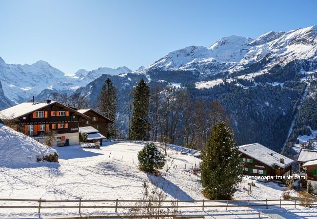 Ferienwohnung in Wengen - Chalet Bergrose 1 Ferienwohnung in Wengen - Chalet Bergrose 1