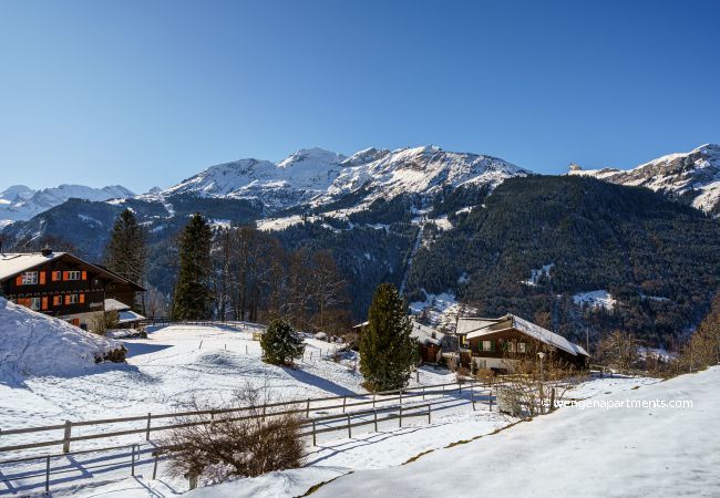 Ferienwohnung in Wengen - Chalet Bergrose 1 Ferienwohnung in Wengen - Chalet Bergrose 1