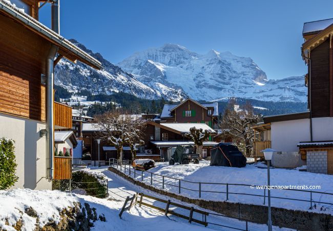 Ferienwohnung in Wengen - Chalet Bergrose 1 Ferienwohnung in Wengen - Chalet Bergrose 1