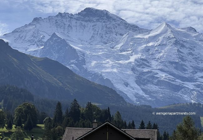 Ferienwohnung in Wengen - Chalet Bergrose 3 Ferienwohnung in Wengen - Chalet Bergrose 3