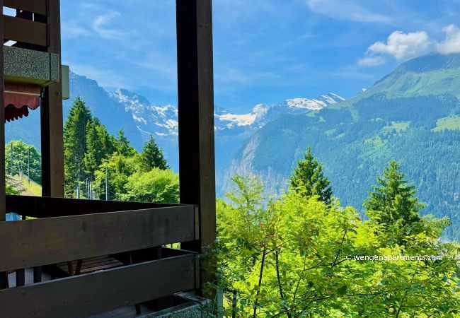 Ferienwohnung in Wengen - Chalet Primula 3 Ferienwohnung in Wengen - Chalet Primula 3
