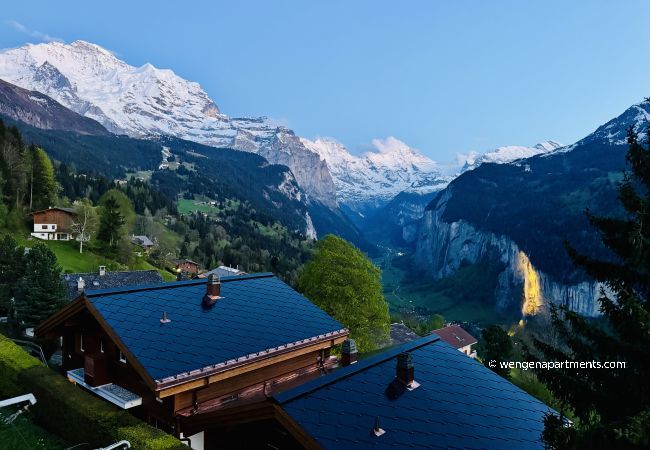 Ferienwohnung in Wengen - Stella Alpina 1 Ferienwohnung in Wengen - Stella Alpina 1