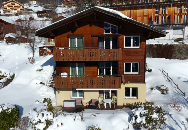 Ferienwohnung in Wengen - Chalet Gerbera 1 Ferienwohnung in Wengen - Chalet Gerbera 1