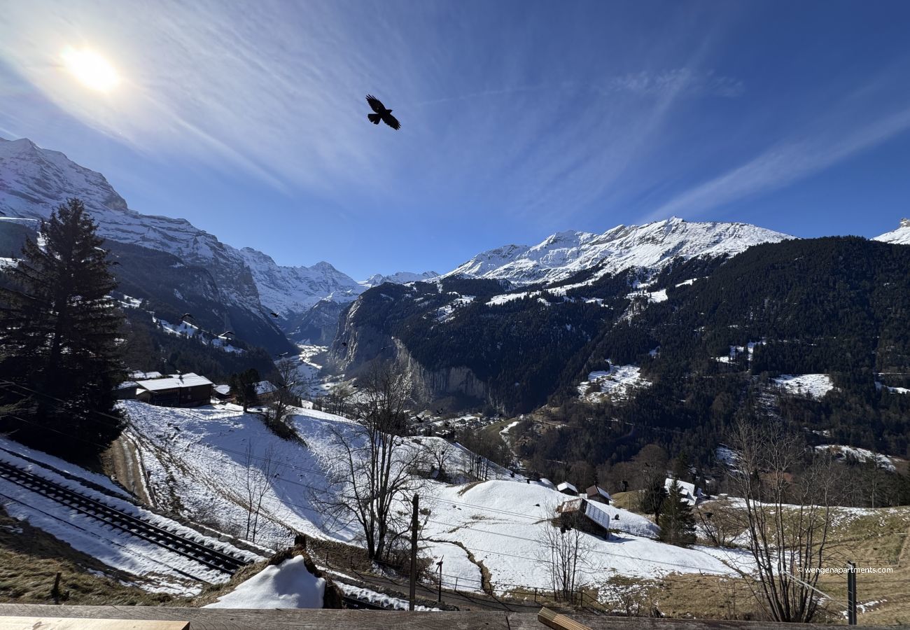 Ferienwohnung in Wengen - Chalet am Bluemewäg 7 Ferienwohnung in Wengen - Chalet am Bluemewäg 7