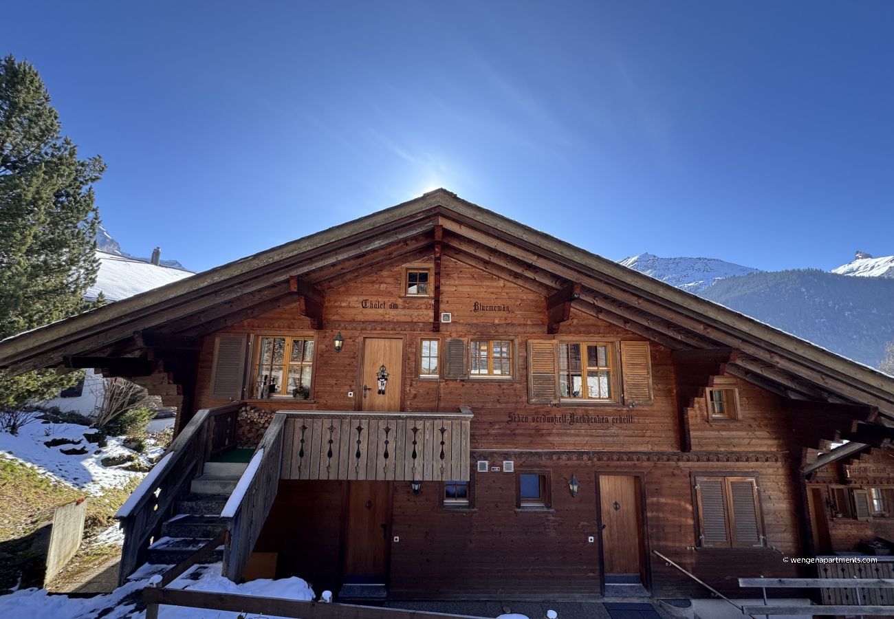 Ferienwohnung in Wengen - Chalet am Bluemewäg 7 Ferienwohnung in Wengen - Chalet am Bluemewäg 7