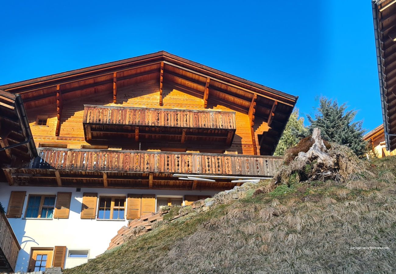 Ferienwohnung in Wengen - Chalet am Bluemewäg 7 Ferienwohnung in Wengen - Chalet am Bluemewäg 7