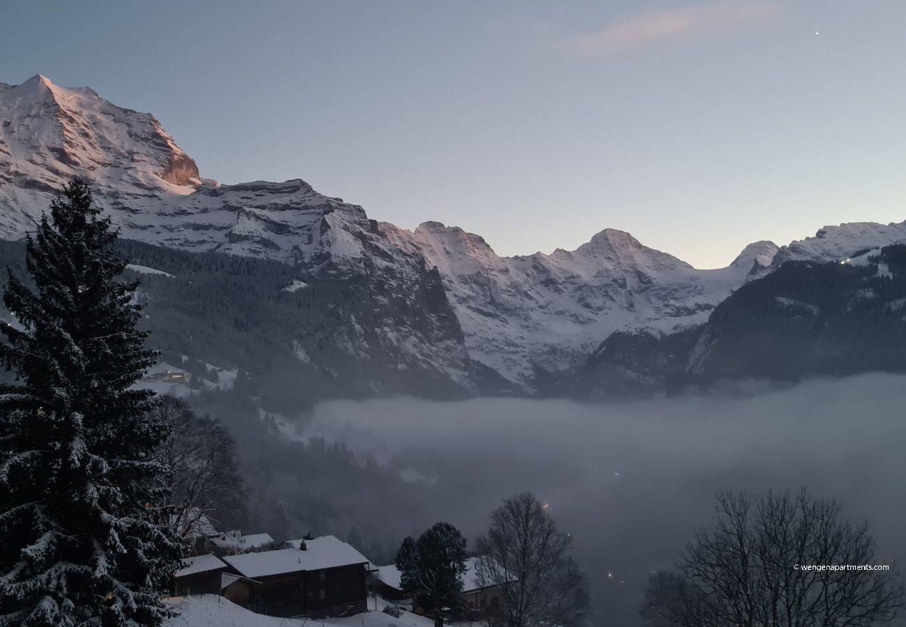 Ferienwohnung in Wengen - Chalet am Bluemewäg 7 Ferienwohnung in Wengen - Chalet am Bluemewäg 7