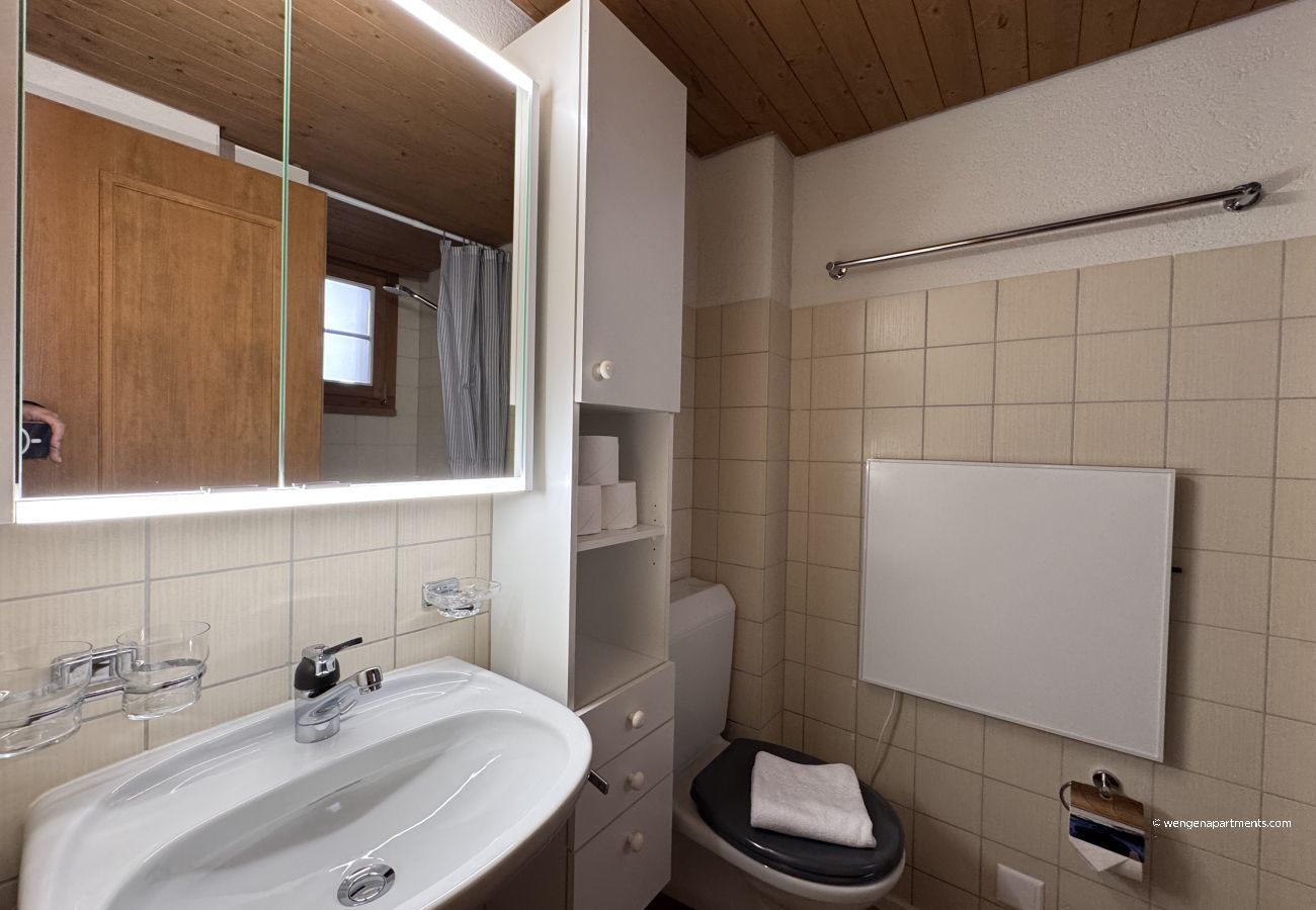 Ferienwohnung in Wengen - Chalet am Bluemewäg 7 Ferienwohnung in Wengen - Chalet am Bluemewäg 7