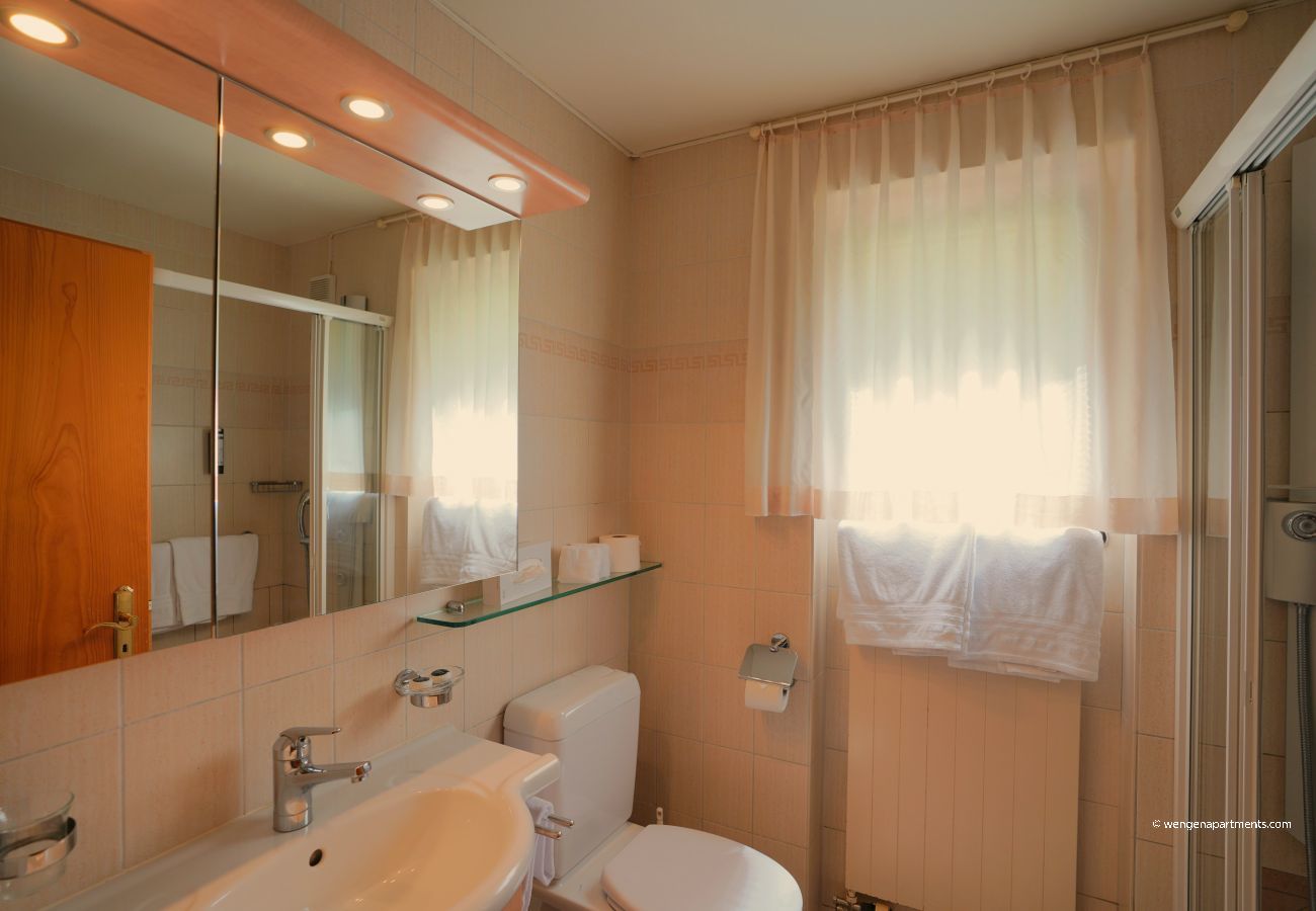 Ferienwohnung in Wengen - Chalet Miravalle 2 Ferienwohnung in Wengen - Chalet Miravalle 2