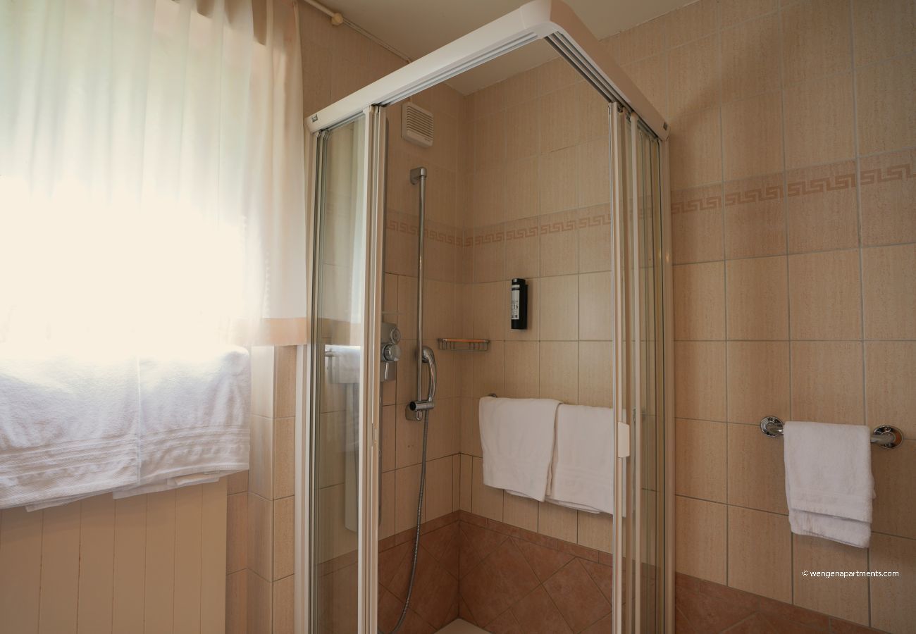 Ferienwohnung in Wengen - Chalet Miravalle 2 Ferienwohnung in Wengen - Chalet Miravalle 2