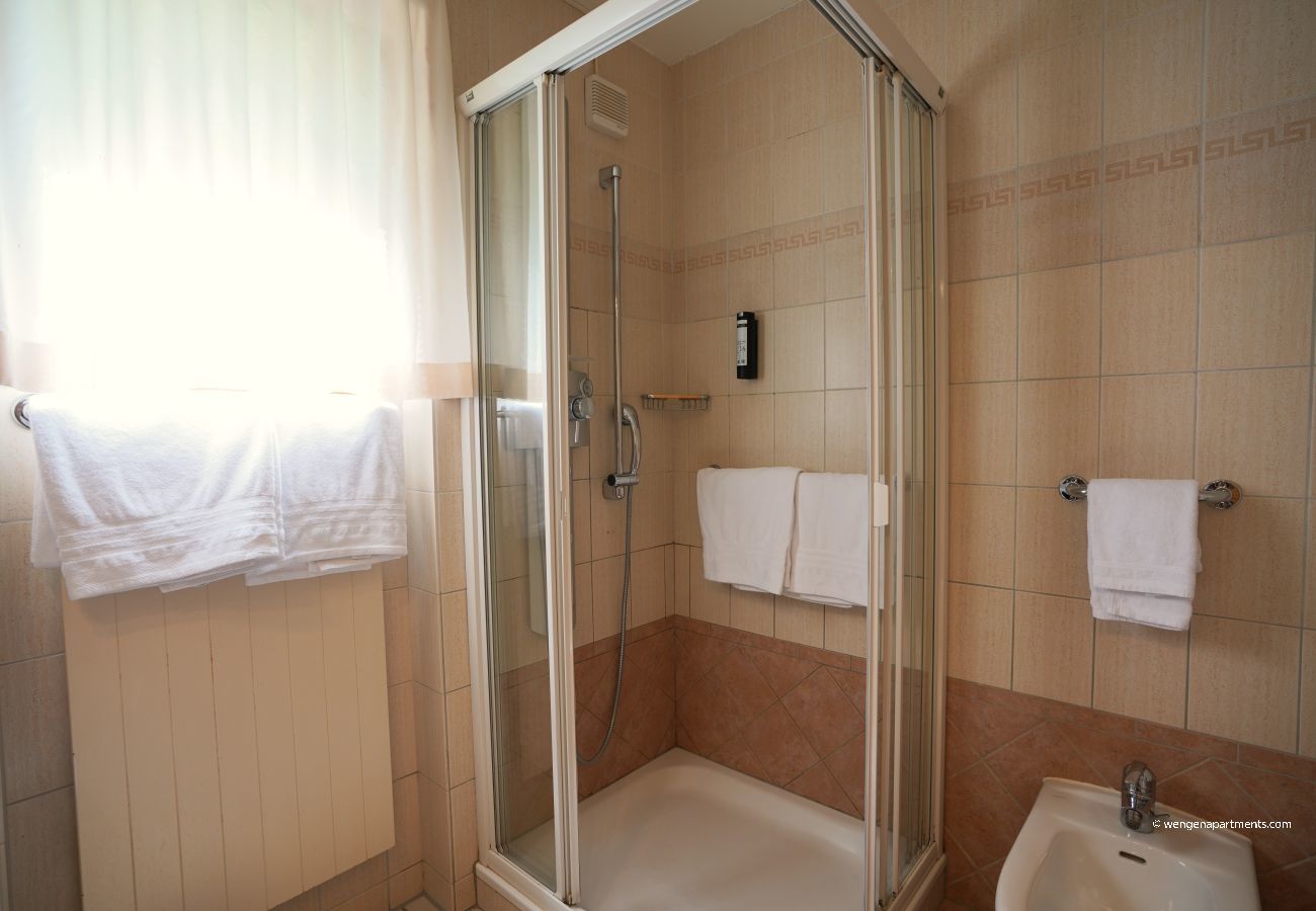 Ferienwohnung in Wengen - Chalet Miravalle 2 Ferienwohnung in Wengen - Chalet Miravalle 2