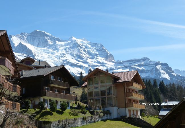 Appartement à Wengen - Chalet Am Acher 3 Appartement à Wengen - Chalet Am Acher 3