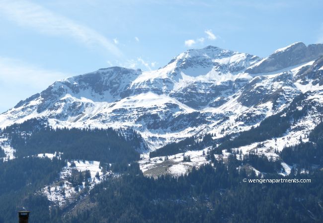 Appartement à Wengen - Chalet Am Acher 3 Appartement à Wengen - Chalet Am Acher 3