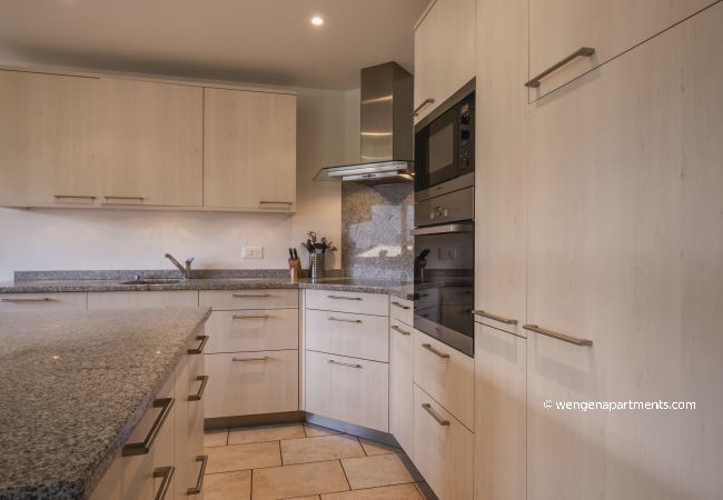 Appartement à Wengen - Chalet Am Acher 3 Appartement à Wengen - Chalet Am Acher 3