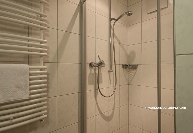 Appartement à Wengen - Chalet Am Acher 3 Appartement à Wengen - Chalet Am Acher 3