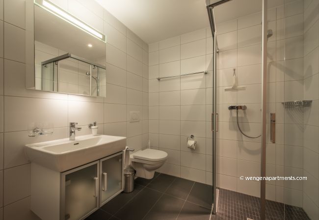 Appartement à Wengen - Chalet Am Acher 7 Appartement à Wengen - Chalet Am Acher 7