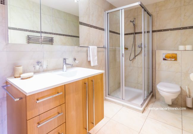 Appartement à Wengen - Chalet Aquila 2 Appartement à Wengen - Chalet Aquila 2