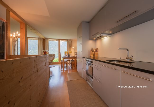 Appartement à Wengen - Chalet Roossi 2 Appartement à Wengen - Chalet Roossi 2