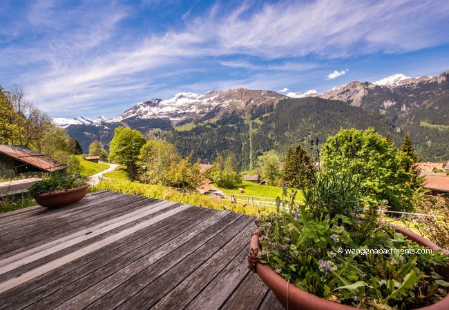 Appartement à Wengen - Chalet Roossi 2 Appartement à Wengen - Chalet Roossi 2