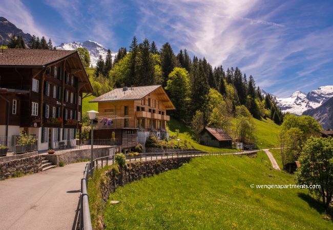Appartement à Wengen - Chalet Roossi 2 Appartement à Wengen - Chalet Roossi 2