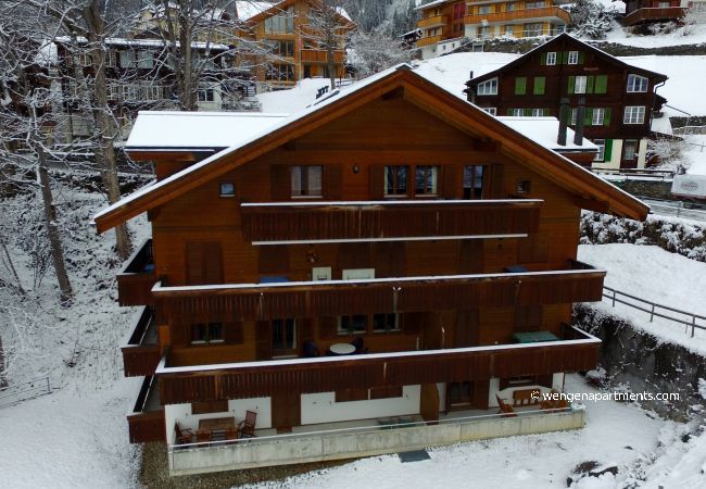 Appartement à Wengen - Roossi-Huus 3 Appartement à Wengen - Roossi-Huus 3
