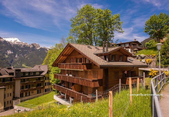 Appartement à Wengen - Roossi-Huus 3 Appartement à Wengen - Roossi-Huus 3