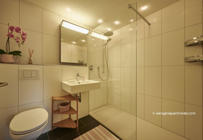 Appartement à Wengen - Chalet Sole Appartement à Wengen - Chalet Sole