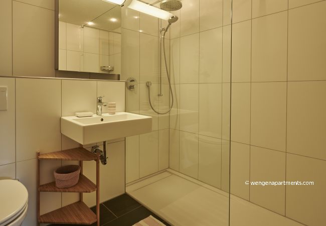 Appartement à Wengen - Chalet Sole Appartement à Wengen - Chalet Sole