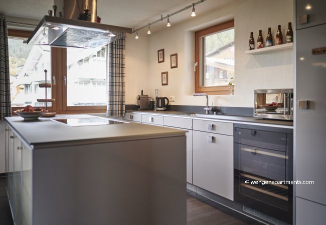 Appartement à Wengen - Chalet Sole Appartement à Wengen - Chalet Sole