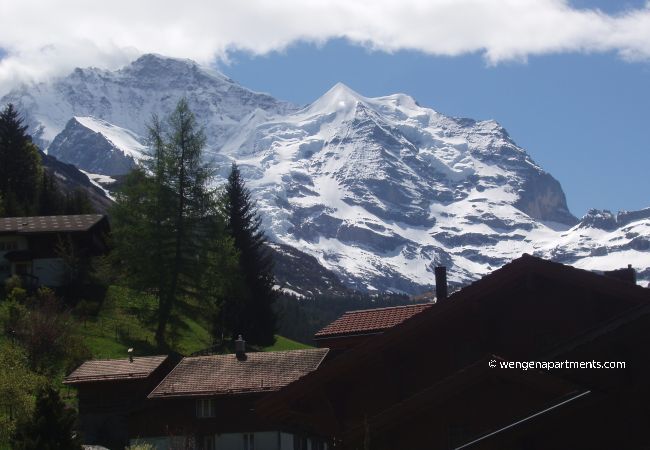 Appartement à Wengen - Chalet Brunner 4 Appartement à Wengen - Chalet Brunner 4