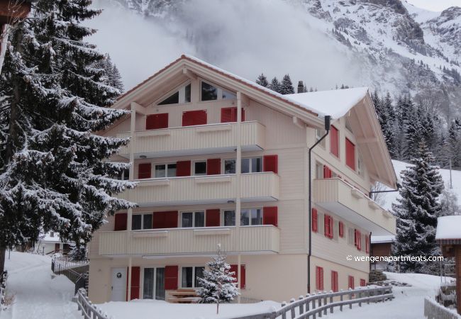 Appartement à Wengen - Chalet Brunner 4 Appartement à Wengen - Chalet Brunner 4