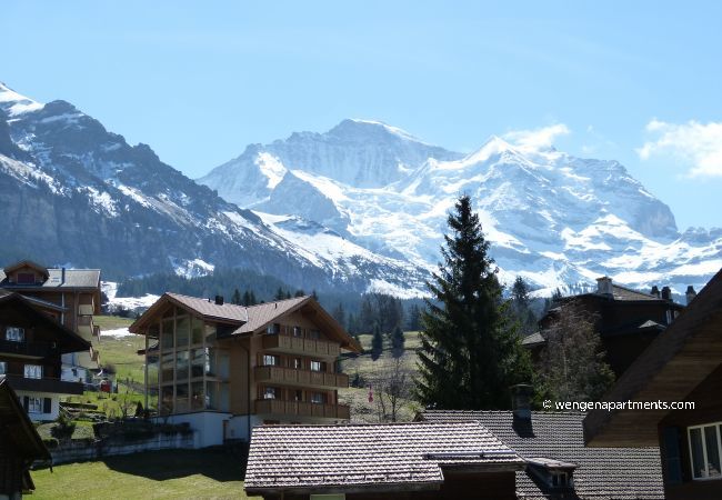 Appartement à Wengen - Chalet Bella Vista 4 Appartement à Wengen - Chalet Bella Vista 4