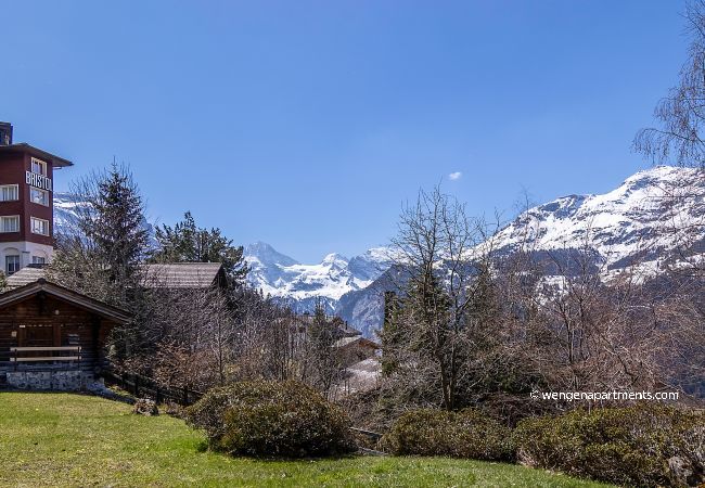 Appartement à Wengen - Chalet Steingärtli 1 Appartement à Wengen - Chalet Steingärtli 1