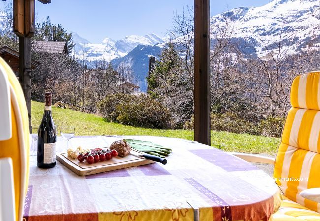 Appartement à Wengen - Chalet Steingärtli 1 Appartement à Wengen - Chalet Steingärtli 1
