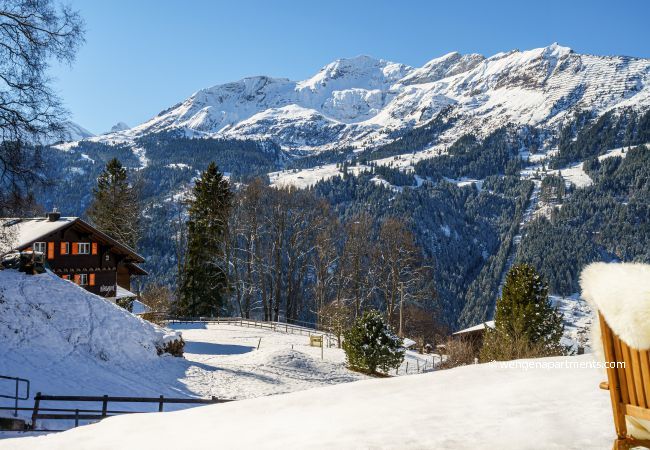 Appartement à Wengen - Chalet Bergrose 1 Appartement à Wengen - Chalet Bergrose 1