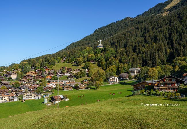 Appartement à Wengen - Chalet Aquila 5 Appartement à Wengen - Chalet Aquila 5