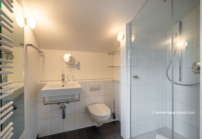 Appartement à Wengen - Chalet Roossi 4 Appartement à Wengen - Chalet Roossi 4