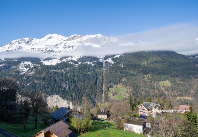 Appartement à Wengen - Chalet Roossi 4 Appartement à Wengen - Chalet Roossi 4